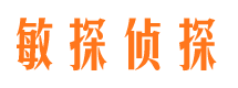 万柏林侦探公司